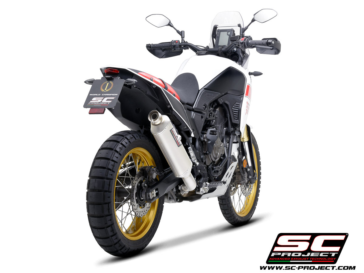 0039415_rally-raid-titanium-exhaust