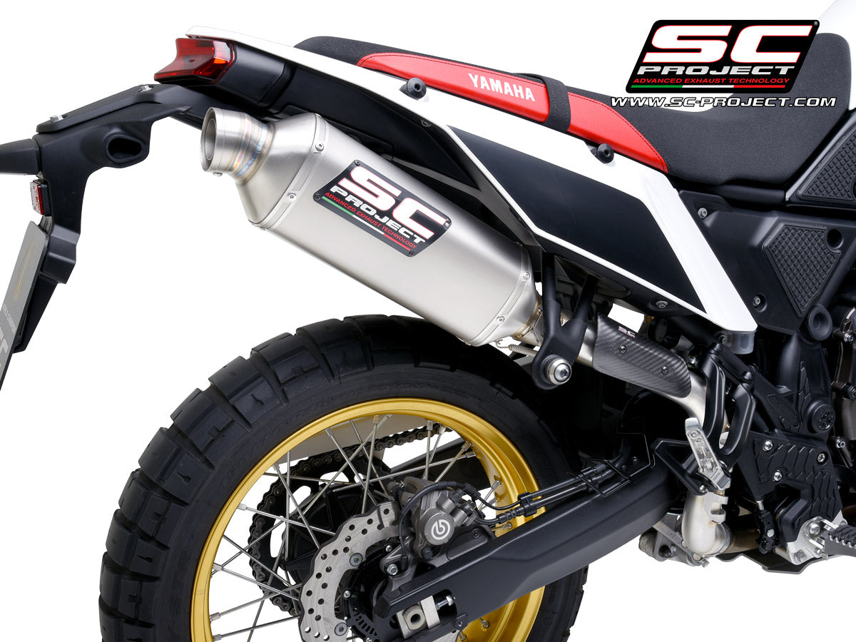 0039439_rally-raid-titanium-exhaust-high-mount